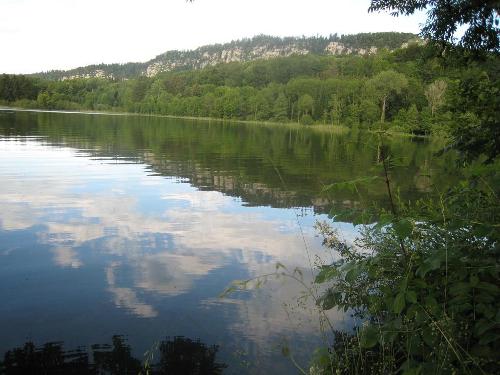 Auberge Du Herisson La Chaux-du-Dombief Εξωτερικό φωτογραφία